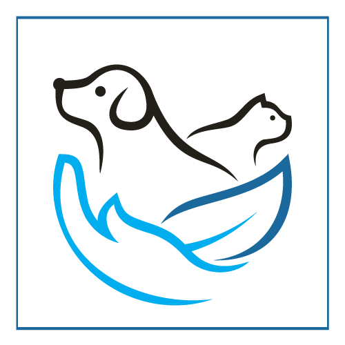 Dog and Cat Wellness